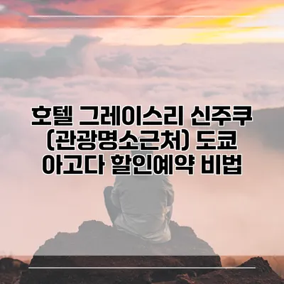 호텔 그레이스리 신주쿠 (관광명소근처) 도쿄 아고다 할인예약 비법