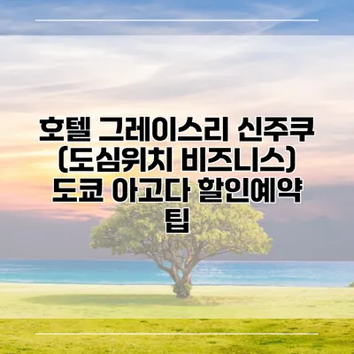 호텔 그레이스리 신주쿠 (도심위치 비즈니스) 도쿄 아고다 할인예약 팁