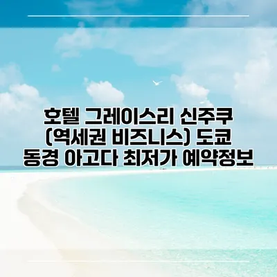 호텔 그레이스리 신주쿠 (역세권 비즈니스) 도쿄 동경 아고다 최저가 예약정보