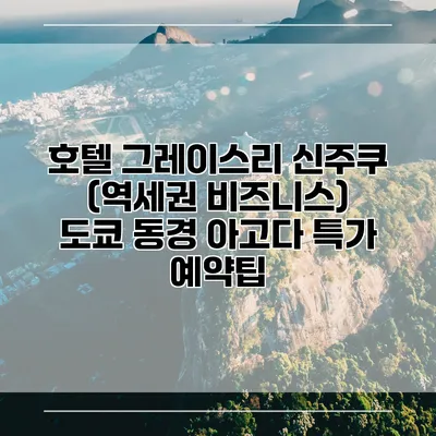 호텔 그레이스리 신주쿠 (역세권 비즈니스) 도쿄 동경 아고다 특가 예약팁