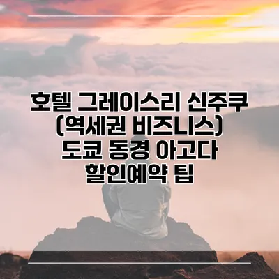 호텔 그레이스리 신주쿠 (역세권 비즈니스) 도쿄 동경 아고다 할인예약 팁