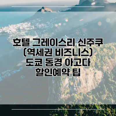 호텔 그레이스리 신주쿠 (역세권 비즈니스) 도쿄 동경 아고다 할인예약 팁