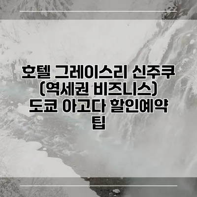 호텔 그레이스리 신주쿠 (역세권 비즈니스) 도쿄 아고다 할인예약 팁