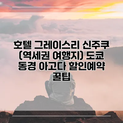 호텔 그레이스리 신주쿠 (역세권 여행지) 도쿄 동경 아고다 할인예약 꿀팁