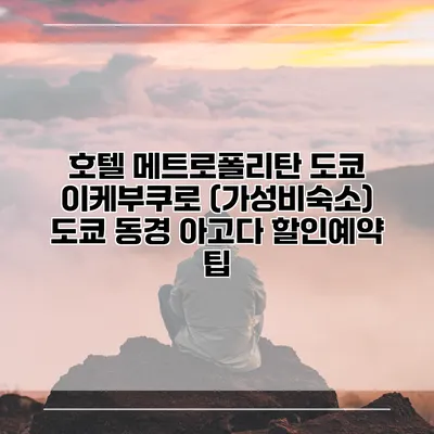 호텔 메트로폴리탄 도쿄 이케부쿠로 (가성비숙소) 도쿄 동경 아고다 할인예약 팁