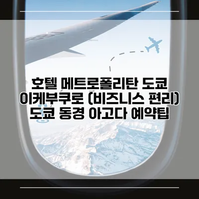 호텔 메트로폴리탄 도쿄 이케부쿠로 (비즈니스 편리) 도쿄 동경 아고다 예약팁