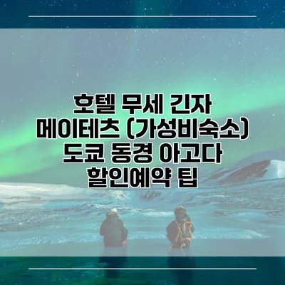 호텔 무세 긴자 메이테츠 (가성비숙소) 도쿄 동경 아고다 할인예약 팁