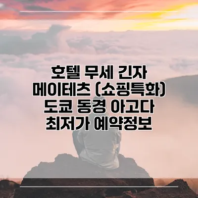 호텔 무세 긴자 메이테츠 (쇼핑특화) 도쿄 동경 아고다 최저가 예약정보