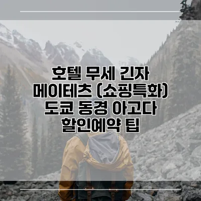호텔 무세 긴자 메이테츠 (쇼핑특화) 도쿄 동경 아고다 할인예약 팁