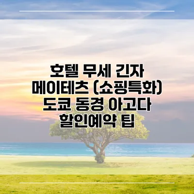 호텔 무세 긴자 메이테츠 (쇼핑특화) 도쿄 동경 아고다 할인예약 팁