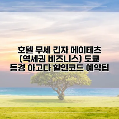 호텔 무세 긴자 메이테츠 (역세권 비즈니스) 도쿄 동경 아고다 할인코드 예약팁