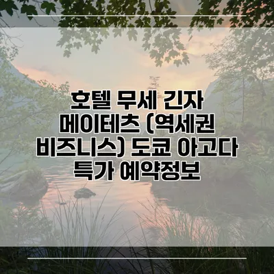 호텔 무세 긴자 메이테츠 (역세권 비즈니스) 도쿄 아고다 특가 예약정보