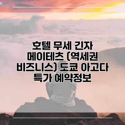 호텔 무세 긴자 메이테츠 (역세권 비즈니스) 도쿄 아고다 특가 예약정보