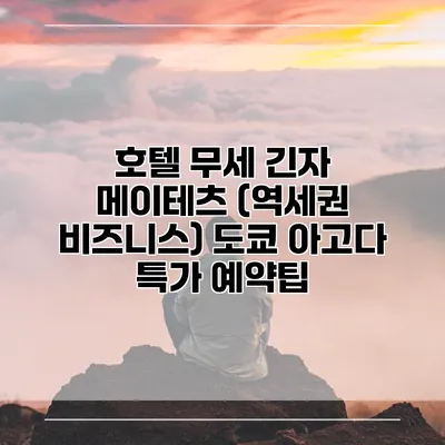 호텔 무세 긴자 메이테츠 (역세권 비즈니스) 도쿄 아고다 특가 예약팁