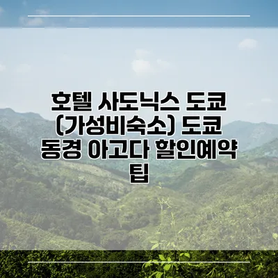 호텔 사도닉스 도쿄 (가성비숙소) 도쿄 동경 아고다 할인예약 팁
