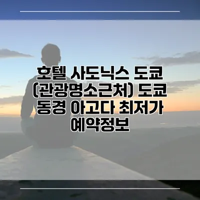 호텔 사도닉스 도쿄 (관광명소근처) 도쿄 동경 아고다 최저가 예약정보
