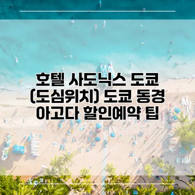 호텔 사도닉스 도쿄 (도심위치) 도쿄 동경 아고다 할인예약 팁