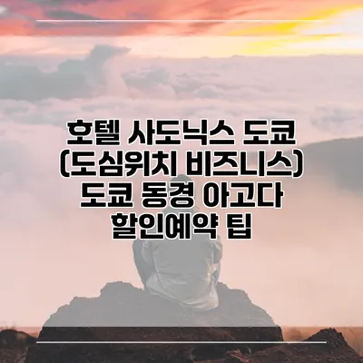호텔 사도닉스 도쿄 (도심위치 비즈니스) 도쿄 동경 아고다 할인예약 팁