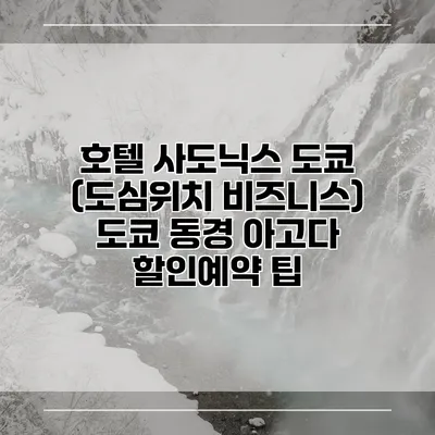 호텔 사도닉스 도쿄 (도심위치 비즈니스) 도쿄 동경 아고다 할인예약 팁