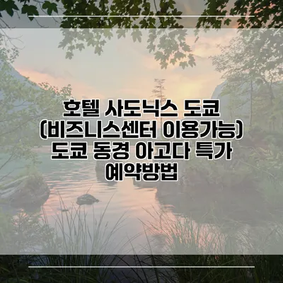호텔 사도닉스 도쿄 (비즈니스센터 이용가능) 도쿄 동경 아고다 특가 예약방법