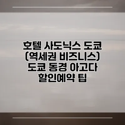 호텔 사도닉스 도쿄 (역세권 비즈니스) 도쿄 동경 아고다 할인예약 팁