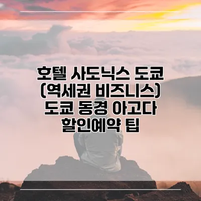 호텔 사도닉스 도쿄 (역세권 비즈니스) 도쿄 동경 아고다 할인예약 팁