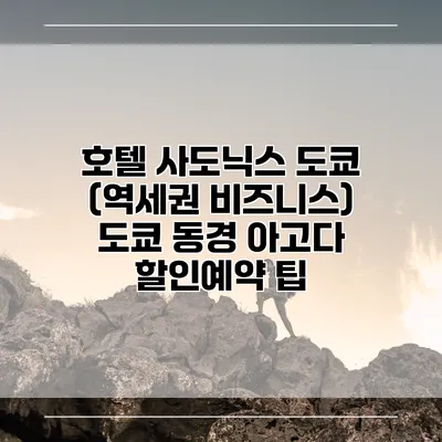 호텔 사도닉스 도쿄 (역세권 비즈니스) 도쿄 동경 아고다 할인예약 팁