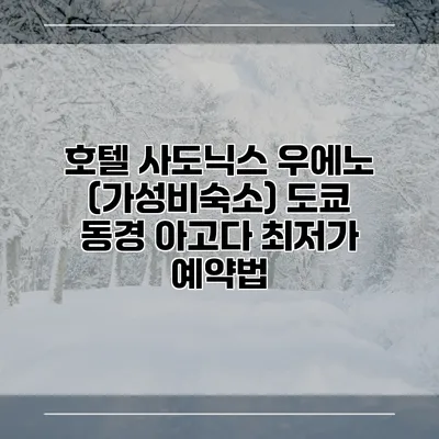 호텔 사도닉스 우에노 (가성비숙소) 도쿄 동경 아고다 최저가 예약법
