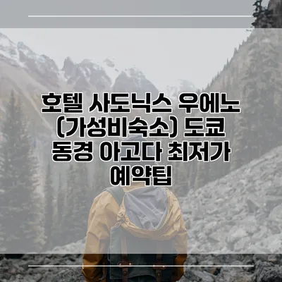 호텔 사도닉스 우에노 (가성비숙소) 도쿄 동경 아고다 최저가 예약팁