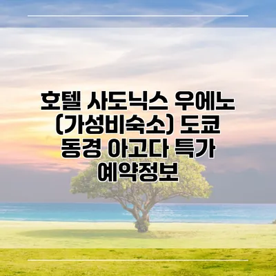 호텔 사도닉스 우에노 (가성비숙소) 도쿄 동경 아고다 특가 예약정보