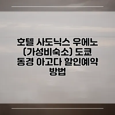 호텔 사도닉스 우에노 (가성비숙소) 도쿄 동경 아고다 할인예약 방법