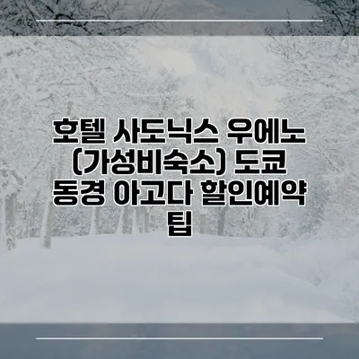 호텔 사도닉스 우에노 (가성비숙소) 도쿄 동경 아고다 할인예약 팁