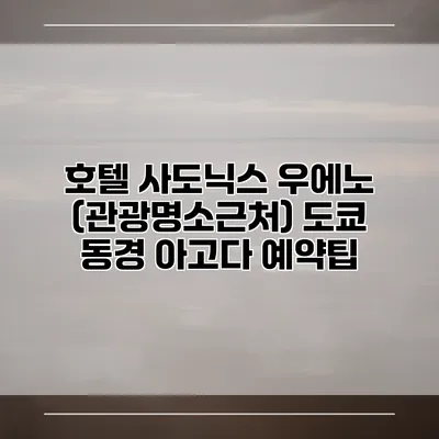 호텔 사도닉스 우에노 (관광명소근처) 도쿄 동경 아고다 예약팁
