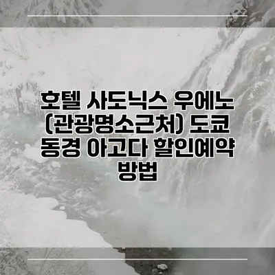 호텔 사도닉스 우에노 (관광명소근처) 도쿄 동경 아고다 할인예약 방법