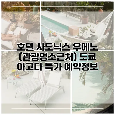 호텔 사도닉스 우에노 (관광명소근처) 도쿄 아고다 특가 예약정보