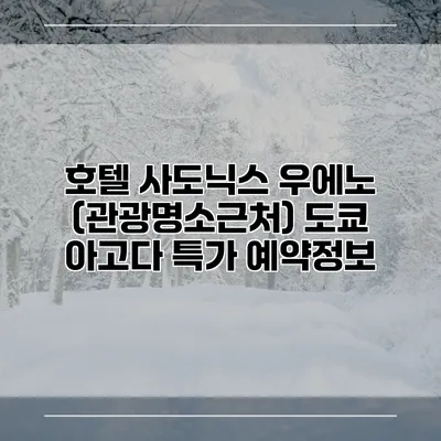 호텔 사도닉스 우에노 (관광명소근처) 도쿄 아고다 특가 예약정보