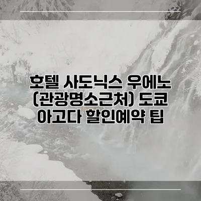 호텔 사도닉스 우에노 (관광명소근처) 도쿄 아고다 할인예약 팁