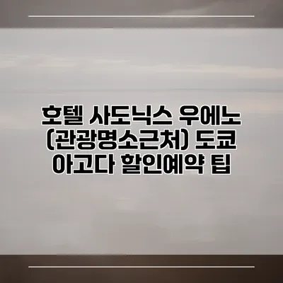 호텔 사도닉스 우에노 (관광명소근처) 도쿄 아고다 할인예약 팁
