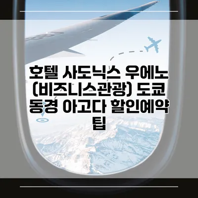 호텔 사도닉스 우에노 (비즈니스관광) 도쿄 동경 아고다 할인예약 팁