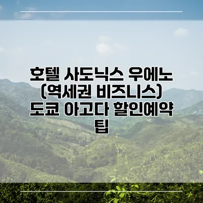 호텔 사도닉스 우에노 (역세권 비즈니스) 도쿄 아고다 할인예약 팁