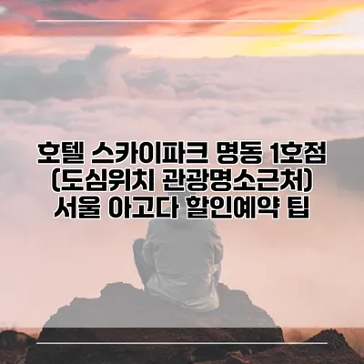 호텔 스카이파크 명동 1호점 (도심위치 관광명소근처) 서울 아고다 할인예약 팁