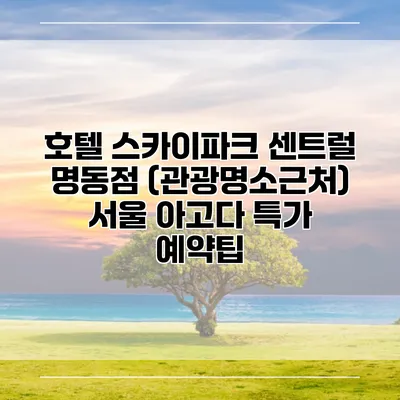호텔 스카이파크 센트럴 명동점 (관광명소근처) 서울 아고다 특가 예약팁