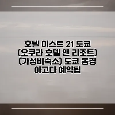 호텔 이스트 21 도쿄 (오쿠라 호텔 앤 리조트) (가성비숙소) 도쿄 동경 아고다 예약팁