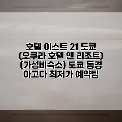 호텔 이스트 21 도쿄 (오쿠라 호텔 앤 리조트) (가성비숙소) 도쿄 동경 아고다 최저가 예약팁
