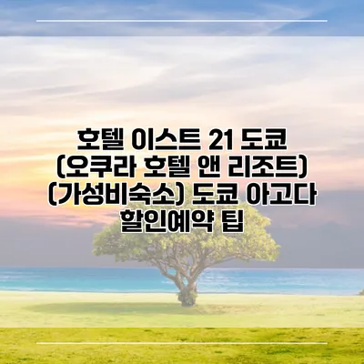 호텔 이스트 21 도쿄 (오쿠라 호텔 앤 리조트) (가성비숙소) 도쿄 아고다 할인예약 팁