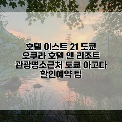 호텔 이스트 21 도쿄 오쿠라 호텔 앤 리조트 관광명소근처 도쿄 아고다 할인예약 팁