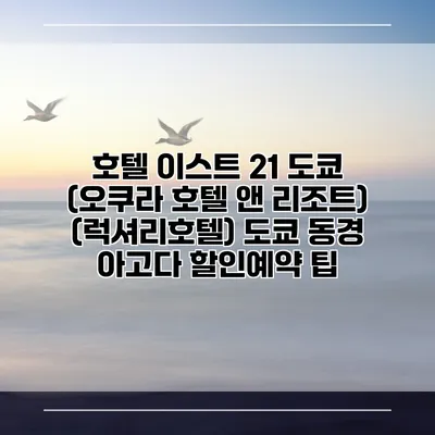 호텔 이스트 21 도쿄 (오쿠라 호텔 앤 리조트) (럭셔리호텔) 도쿄 동경 아고다 할인예약 팁